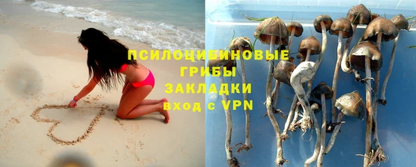 ешки Балахна