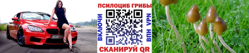 Галлюциногенные грибы Cubensis  кракен как войти  площадка какой сайт  цены наркотик  Красный Холм 